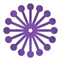 kitc_dark_flowerpurple2