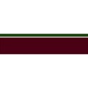 EM