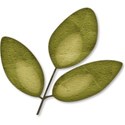 AprilLeaf - Copy