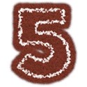 FuzzyFeltNum_5