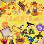 Fall and Its Beauty