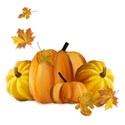 cluster pumpkins leaves