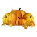 pumpkins leaves sticker