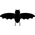 bat