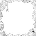 OVERLAY spiders web