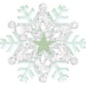 bos_lis_snowflake06