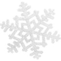 bos_lis_snowflake07