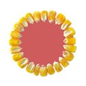 DZ_BooVille_Corn_frame