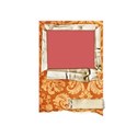 DZ_BooVille_damask_frame