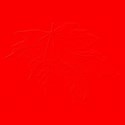 redmapleleafpaper