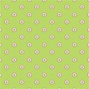 DCP-TRENDYBG1