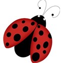 bos_sb_ladybug01
