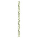 stitchinggreen