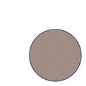 purple circle2