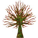 tree short14