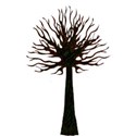 tree tall (9)