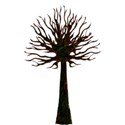 tree tall (9ab)