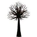tree tall (9abc)