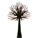 tree tall (9abcd)