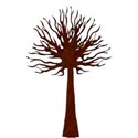 tree tall (11a)
