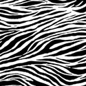 paper zebra white