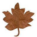 Brown Paper Leaf