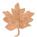 Tan Polka Leaf