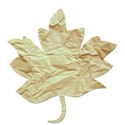 Tan Paper Leaf 2