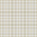 paper stripe 01 copy