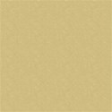Textured_Tan