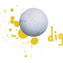 dig_volley_mikki