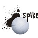 spike_volley_mikki