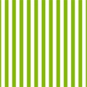paper lined green