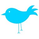 Bird_Blue5