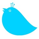 Bird_Blue7