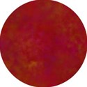 Circle4