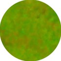Circle10