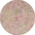 Circle17