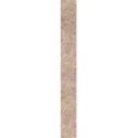 Strip17