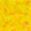 BG8