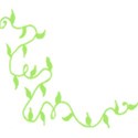 Vine3