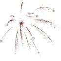 calalily_Independance_firework1