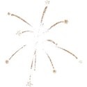 calalily_Independance_firework3