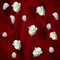 white roses on red satin background