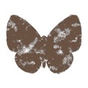 butterflybrownstamp