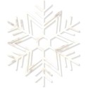 Flake1i