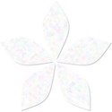 Flower1