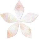 Flower2
