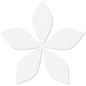 Flower5