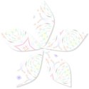 Flower7